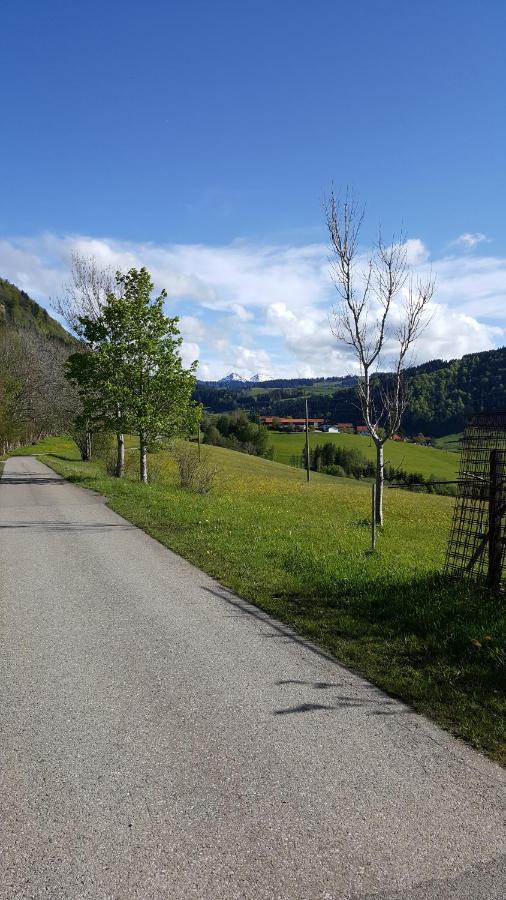 Fewo Friado Im Ferienpark Oa - Ohne Zusatzkosten Nach Anreise - Mit Hallenbad, W-Lan, Pkw-Garage, Kurtaxe Mit Allgaeu-Walser-Pass, Bett- Und Handtuch-Waesche Sowie End-Reinigung ミッセン・ヴィルハムス エクステリア 写真
